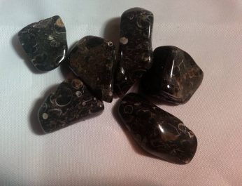 turitella agate tumblestones