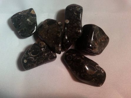 turitella agate tumblestones