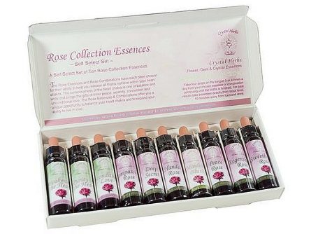 rose-essence-individuals-2