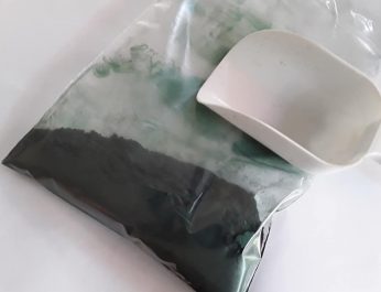 Spirulina 2019 3