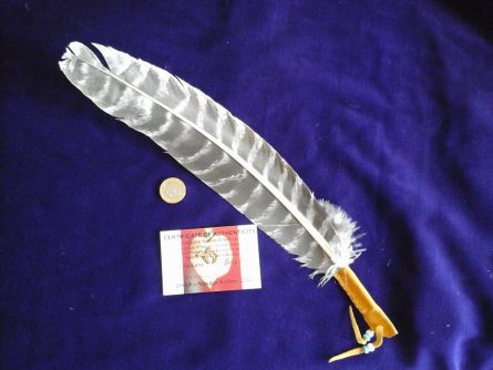 Turkey Feather Smudging Fan 3.jpg.jpg