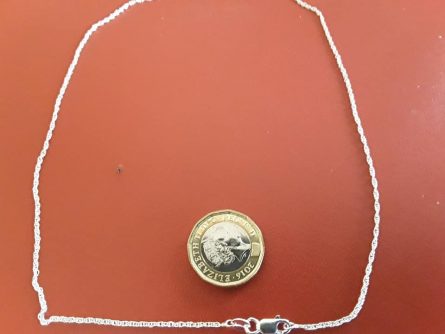 Silver Prince of Wales Rope chain 18 inches 2