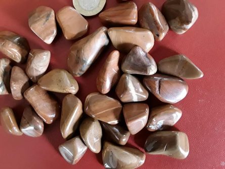 Brown Jasper new 2