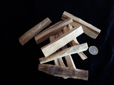 Palo santo wood