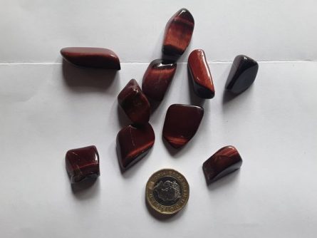 Red Tigers eye 1