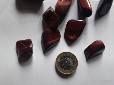 Red Tigers eye 2