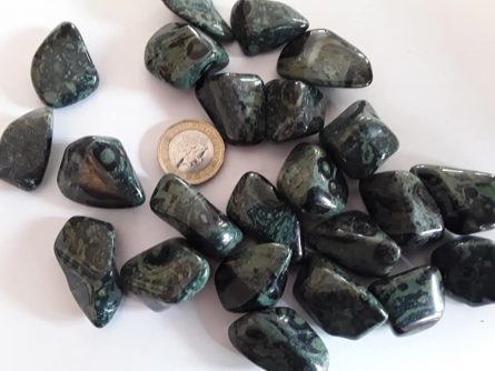 Kambamba Jasper 2