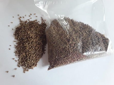 aniseed loose and in bag