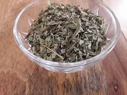 Lemon Verbena 1