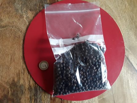 Juniper Berries whole 1