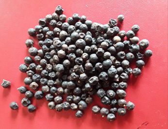 Juniper Berries whole 3