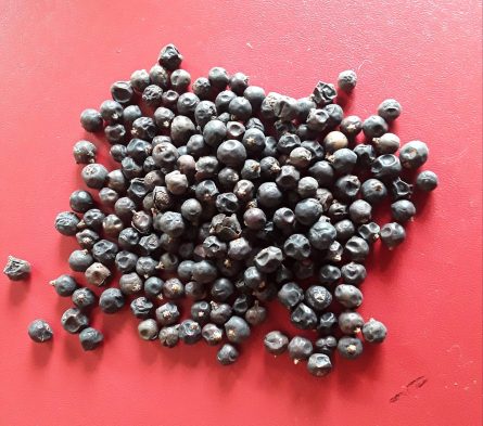 Juniper Berries whole 3