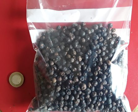 Juniper Berries whole 4