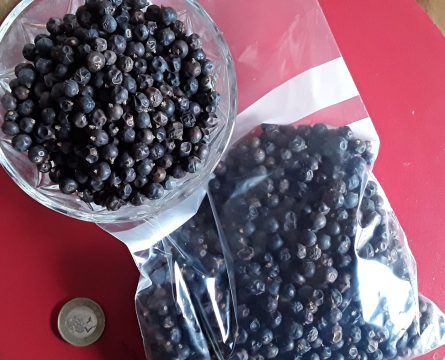 Juniper Berries whole 5