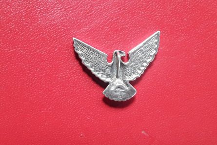 Flying Eagle Pendant showing rear 4