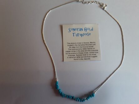 Sonoran Gold Turquoise necklace 1